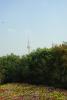 img019.jpeg.small.jpeg
