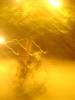 img066.jpeg.small.jpeg